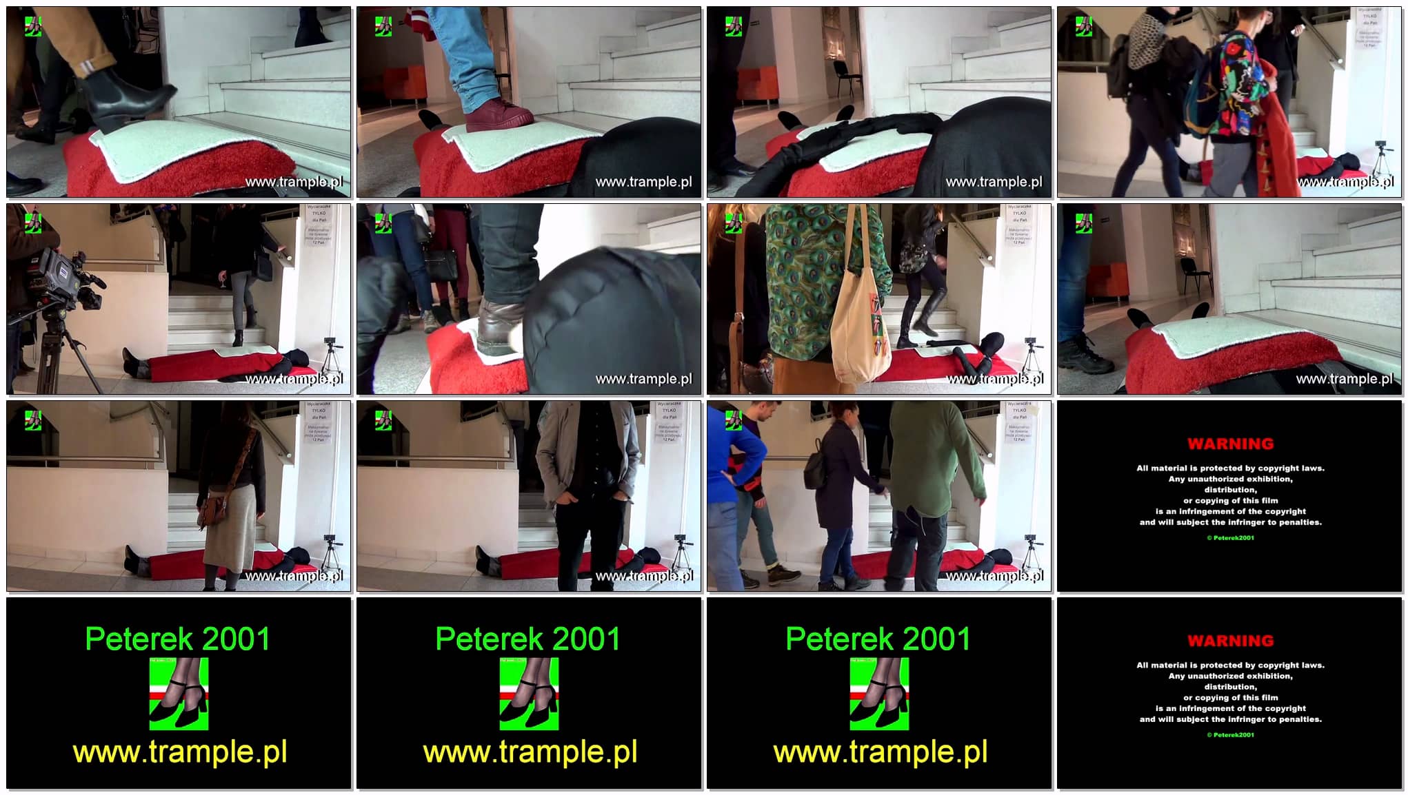 TPUS-008.jpg