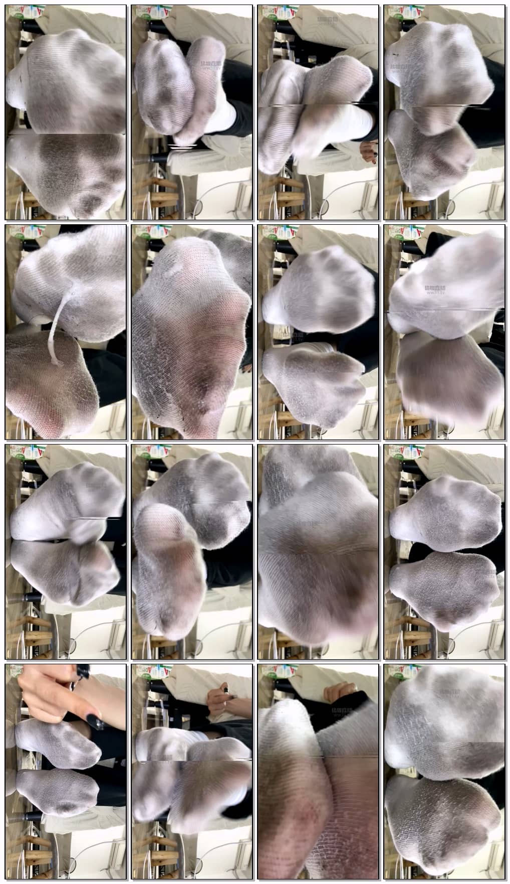 TJSP-104583.jpg
